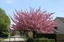 Parc de Damery